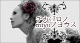 チカゴロノmiyoノヨウス